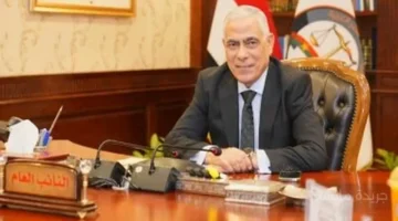 بشرى سارة.. النيابة العامة تُفرج عن 38 متهمًا محبوسين احتياطيًا 1